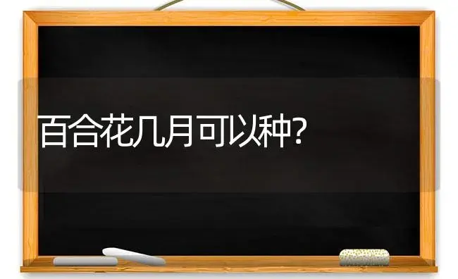 百合花几月可以种？ | 绿植常识