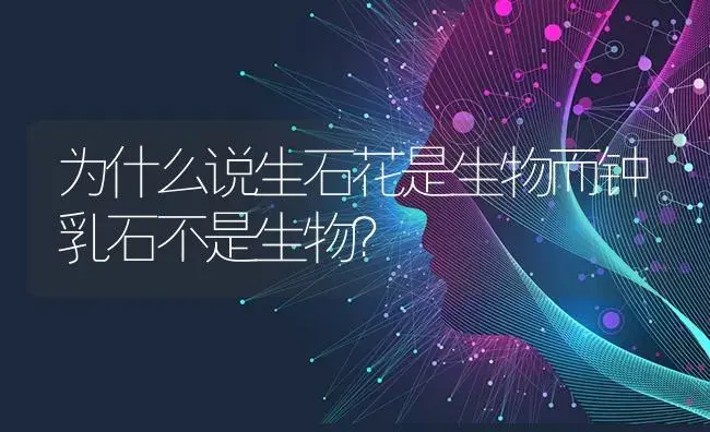 为什么说生石花是生物而钟乳石不是生物？ | 多肉养殖