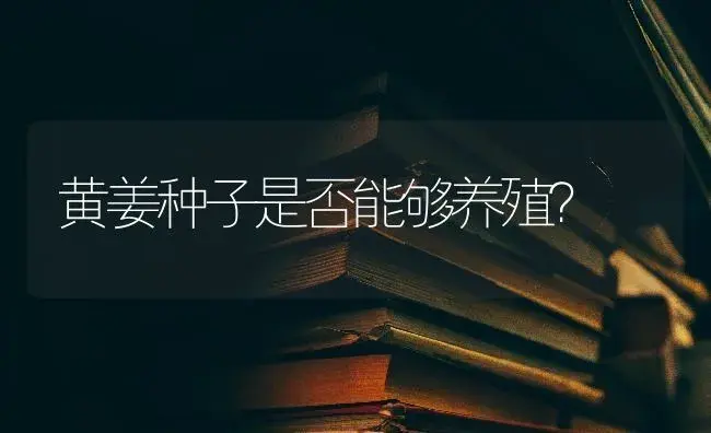 黄姜种子是否能够养殖？ | 特种种植