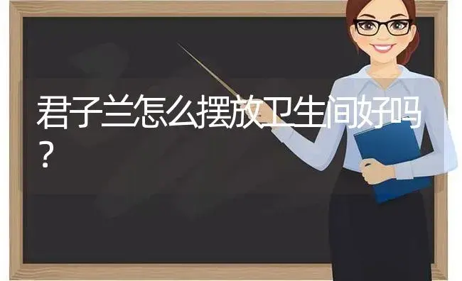 君子兰怎么摆放卫生间好吗？ | 绿植常识