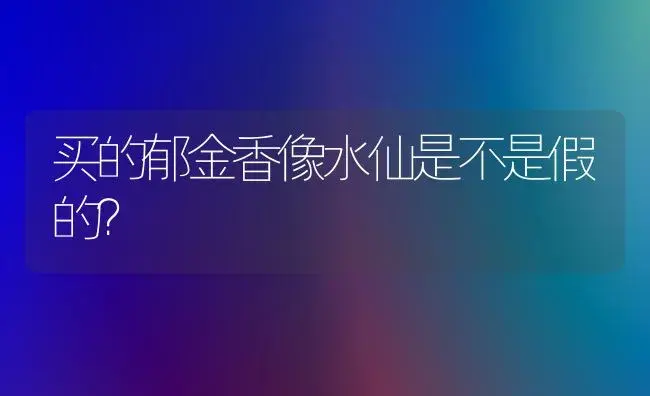 买的郁金香像水仙是不是假的？ | 绿植常识