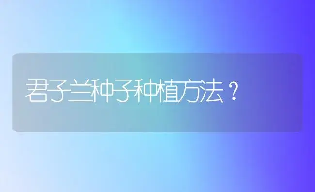 君子兰种子种植方法？ | 绿植常识