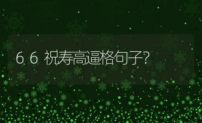 66祝寿高逼格句子？ | 多肉养殖