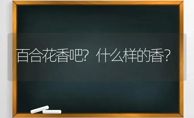 百合花香吧?什么样的香？ | 绿植常识