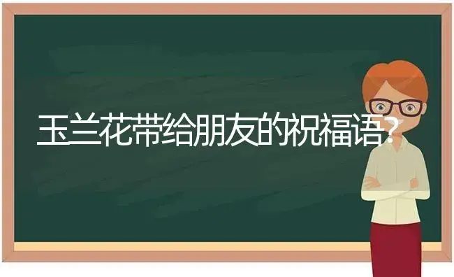 玉兰花带给朋友的祝福语？ | 绿植常识