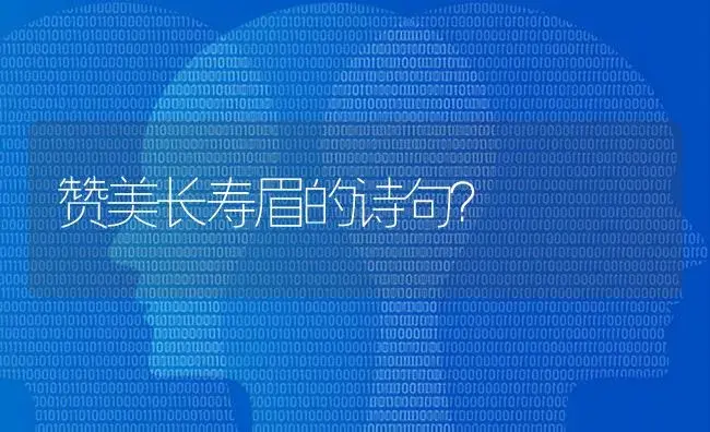 赞美长寿眉的诗句？ | 多肉养殖