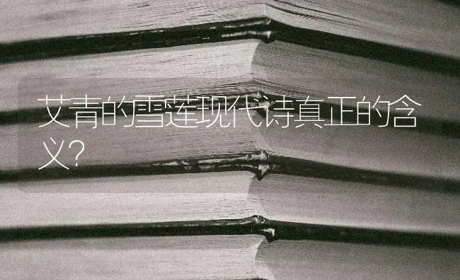 艾青的雪莲现代诗真正的含义？ | 多肉养殖