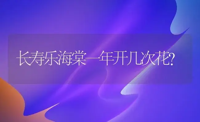 长寿乐海棠一年开几次花？ | 多肉养殖