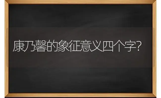 康乃馨的象征意义四个字？ | 绿植常识