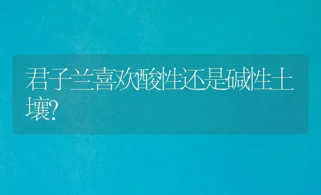 君子兰喜欢酸性还是碱性土壤？ | 绿植常识