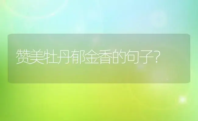 手工康乃馨怎么做？ | 绿植常识