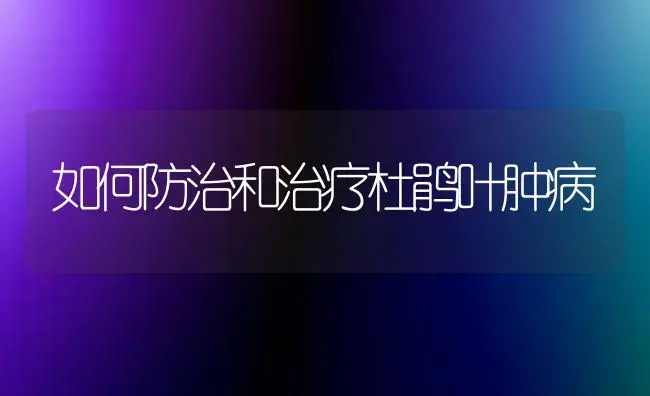 如何防治和治疗杜鹃叶肿病 | 家庭养花