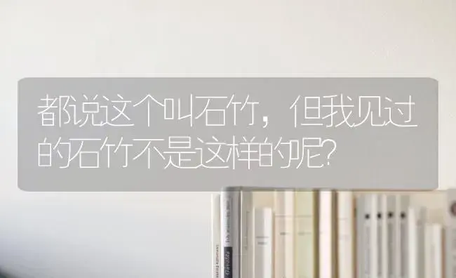 都说这个叫石竹，但我见过的石竹不是这样的呢？ | 绿植常识