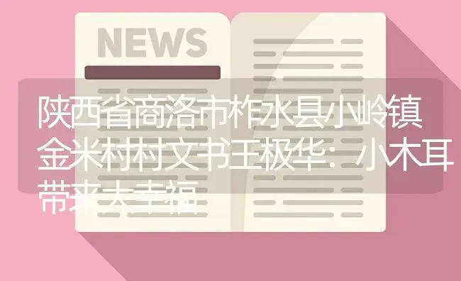 陕西省商洛市柞水县小岭镇金米村村文书王极华：小木耳带来大幸福 | 菌菇种植