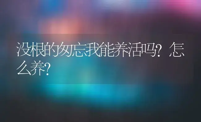 没根的匆忘我能养活吗?怎么养？ | 绿植常识