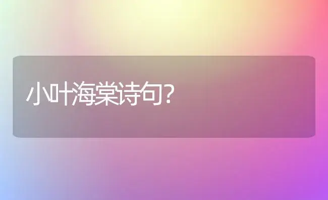 小叶海棠诗句？ | 绿植常识