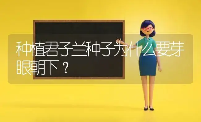 种植君子兰种子为什么要芽眼朝下？ | 绿植常识