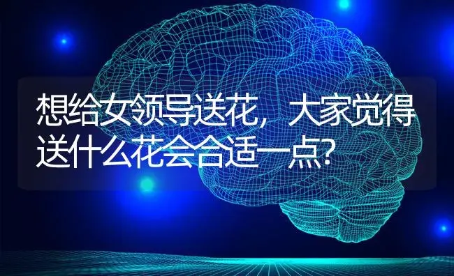 想给女领导送花，大家觉得送什么花会合适一点？ | 绿植常识