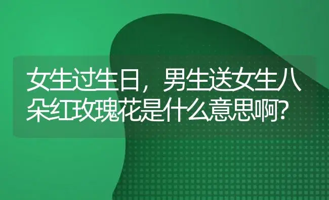 女生过生日，男生送女生八朵红玫瑰花是什么意思啊？ | 绿植常识