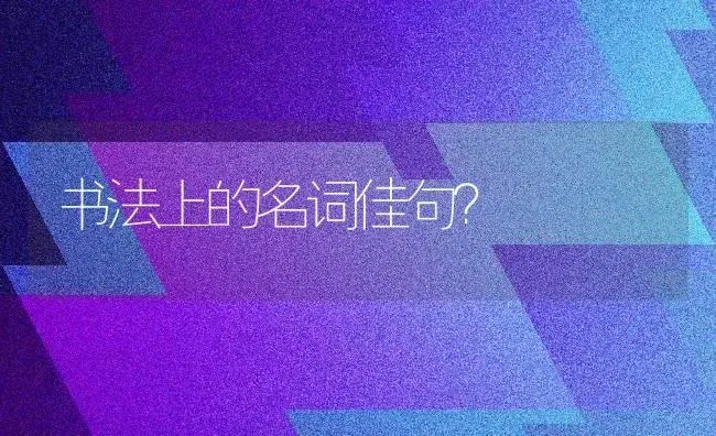 书法上的名词佳句？ | 多肉养殖