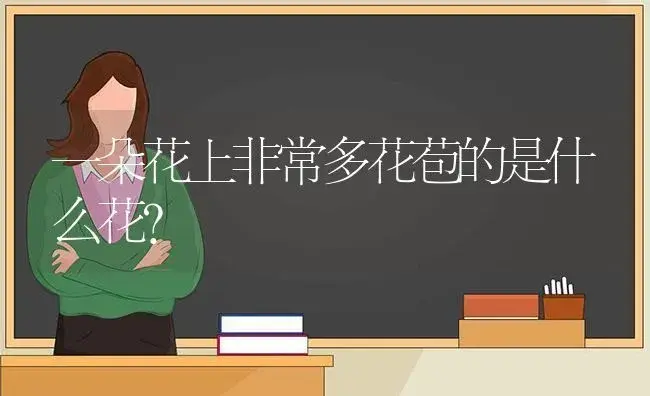 一朵花上非常多花苞的是什么花？ | 多肉养殖