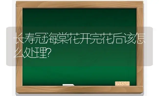 长寿冠海棠花开完花后该怎么处理？ | 多肉养殖