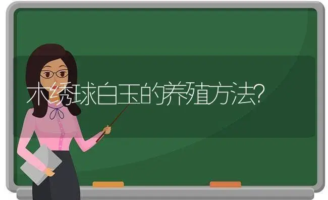 木绣球白玉的养殖方法？ | 绿植常识