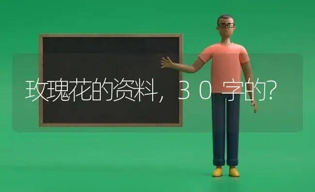 玫瑰花的资料，30字的？ | 绿植常识