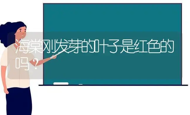 海棠刚发芽的叶子是红色的吗？ | 绿植常识