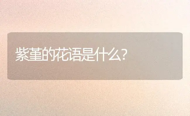 紫堇的花语是什么？ | 绿植常识