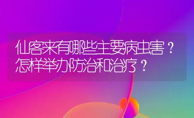 仙客来有哪些主要病虫害？怎样举办防治和治疗？ | 家庭养花