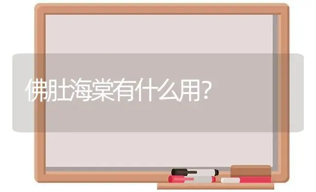 佛肚海棠有什么用？ | 绿植常识