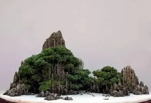 山水盆景 | 怎样给山水盆景配植植物