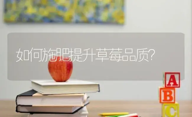 如何施肥提升草莓品质？ | 果木种植