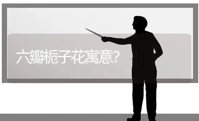 六瓣栀子花寓意？ | 绿植常识