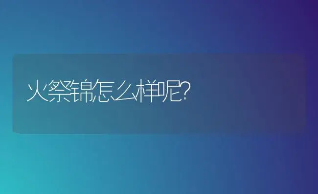 火祭锦怎么样呢？ | 多肉养殖