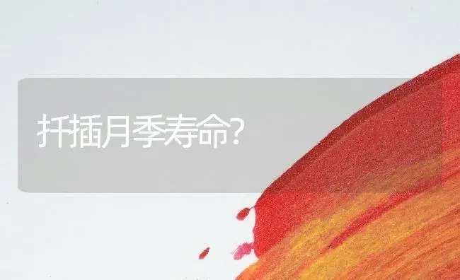 扦插月季寿命？ | 绿植常识