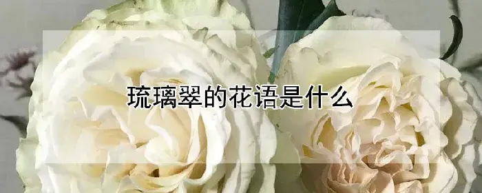 琉璃翠的花语是什么