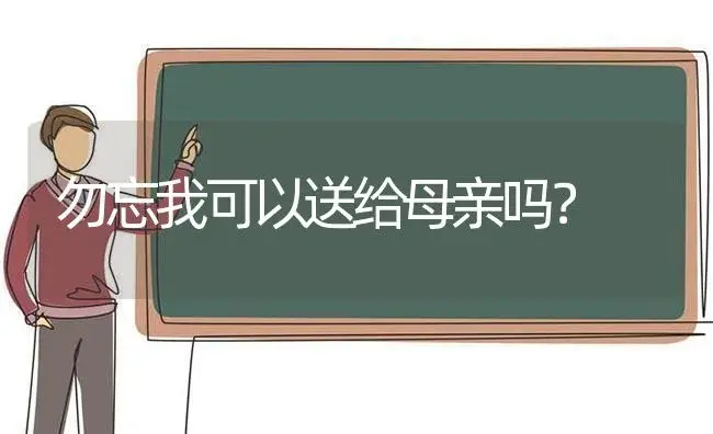 勿忘我可以送给母亲吗？ | 绿植常识