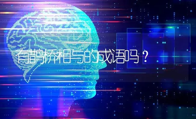 有鹊桥相与的成语吗？ | 多肉养殖