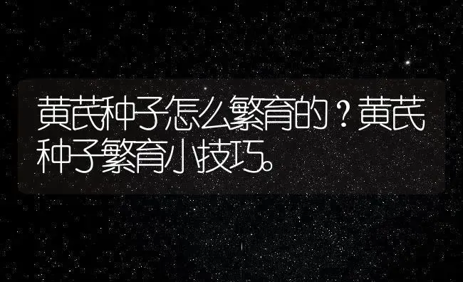 黄芪种子怎么繁育的？黄芪种子繁育小技巧。 | 药材种植