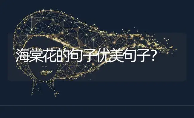 海棠花的句子优美句子？ | 绿植常识