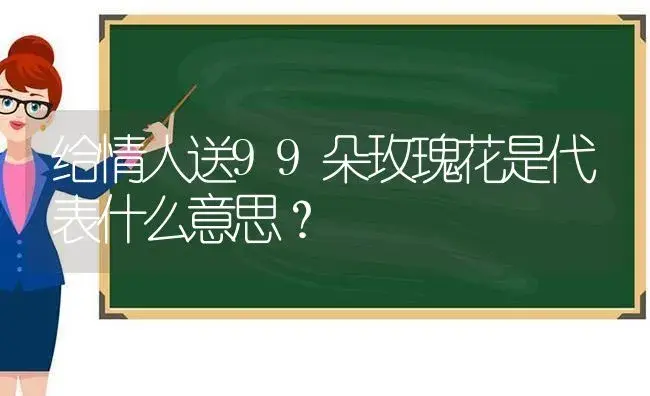 给情人送99朵玫瑰花是代表什么意思？ | 绿植常识