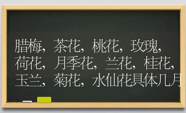 腊梅，茶花，桃花，玫瑰，荷花，月季花，兰花，桂花，玉兰，菊花，水仙花具体几月开花？ | 绿植常识