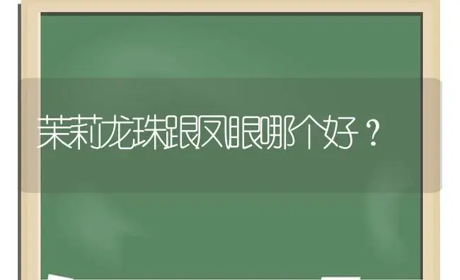 茉莉龙珠跟凤眼哪个好？ | 绿植常识