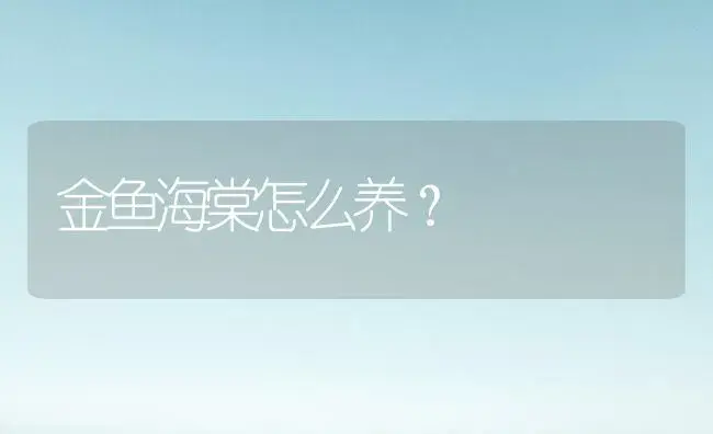 金鱼海棠怎么养？ | 绿植常识