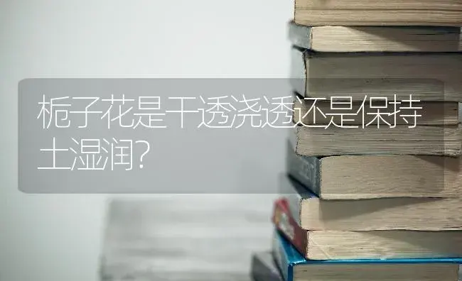 栀子花是干透浇透还是保持土湿润？ | 绿植常识