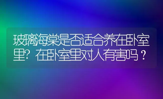 玻璃海棠是否适合养在卧室里?在卧室里对人有害吗？ | 绿植常识