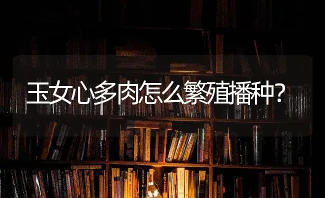 玉女心多肉怎么繁殖播种？ | 多肉养殖