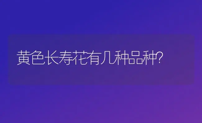 黄色长寿花有几种品种？ | 多肉养殖